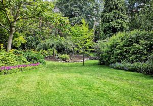 Optimiser l'expérience du jardin à Vassincourt
